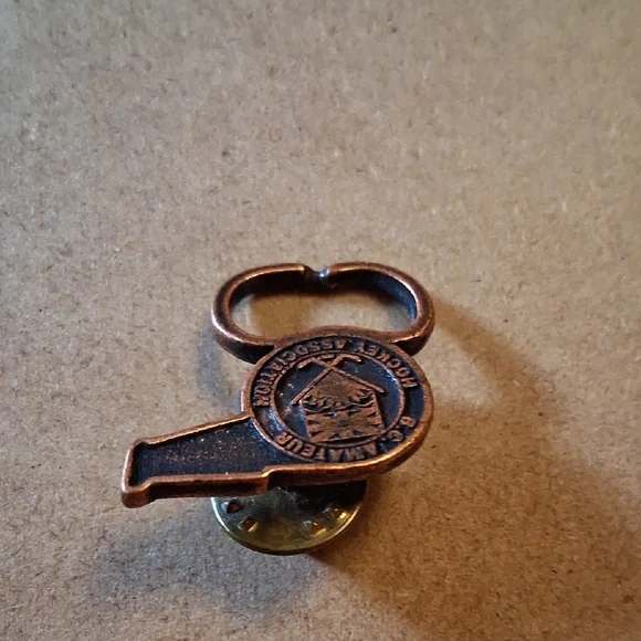 Bronze Pin - Picture 3 of 6